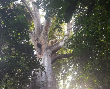 Parque Nacional de Cantanhez