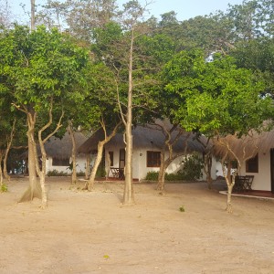 João Vieira- Maneque-Kéré