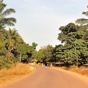 Partida para a Ilha de Orango