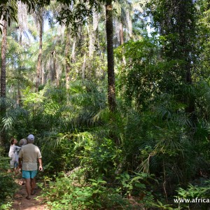 PARQUE NACIONAL de ORANGO e BAÍA de ANCUTUM