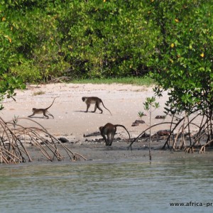 PARQUE NACIONAL de ORANGO