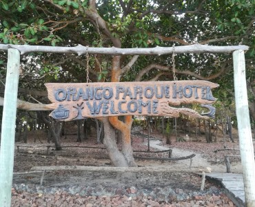 Retiro de Yoga Dance e Meditação