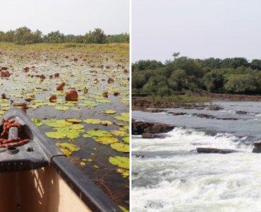 Cufada, Buba e Saltinho - 2 dias